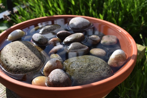 Bee bowl insect drinking station